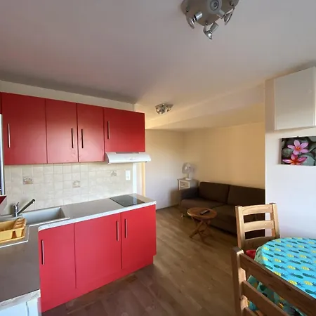 T2 Avec Terrasse Et Wi-fi, Proche Des Thermes Du Connetable - Fr-1-541-123 La Roche-Posay