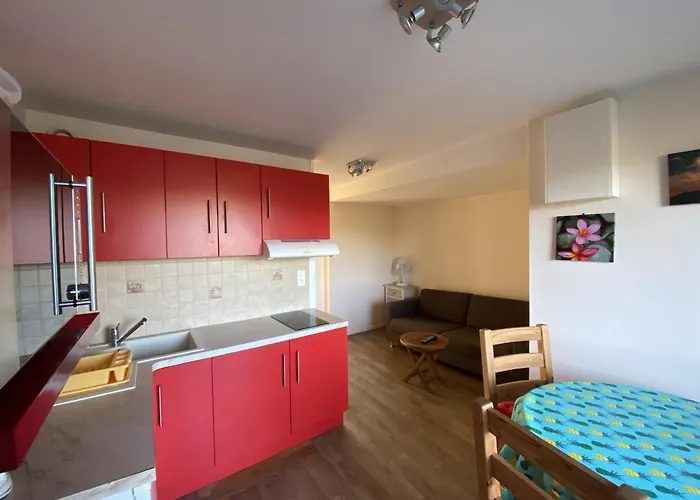 T2 Avec Terrasse Et Wi-fi, Proche Des Thermes Du Connétable - Fr-1-541-123 La Roche-Posay